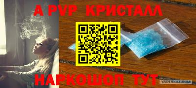 трава Пугачёв