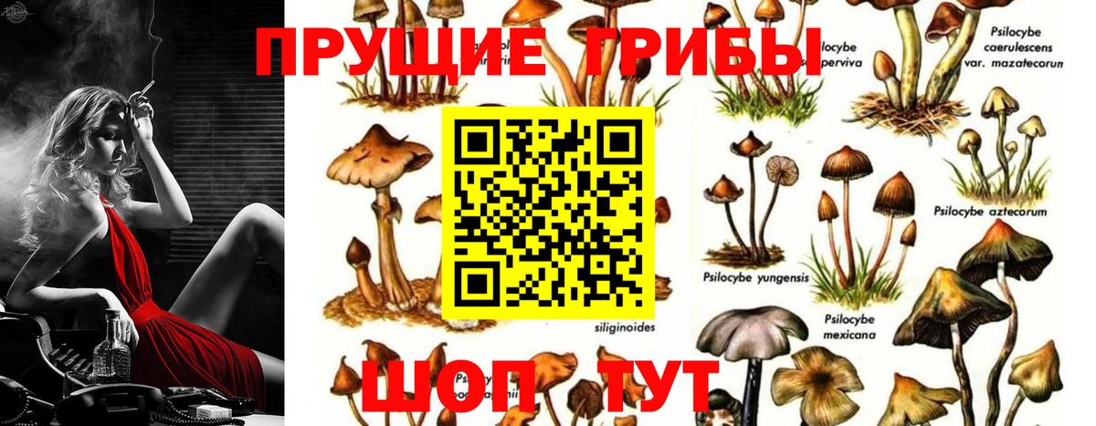 Галлюциногенные грибы мухоморы  Псилоцибиновые грибы MAGIC MUSHROOMS  Хабаровск  Вход с VPN 